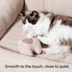 Squeaky Plush Puppy Toy