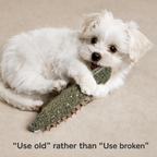 Squeaky Plush Puppy Toy
