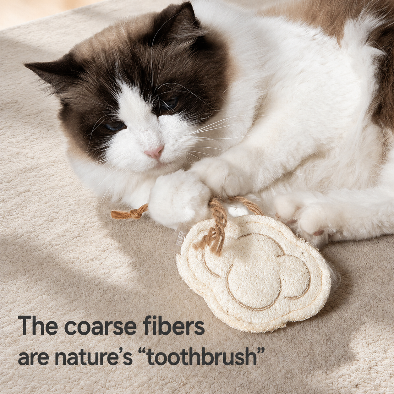 Silvervine Cat Chew Toy