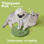 Self-serve Treat Cat Toy