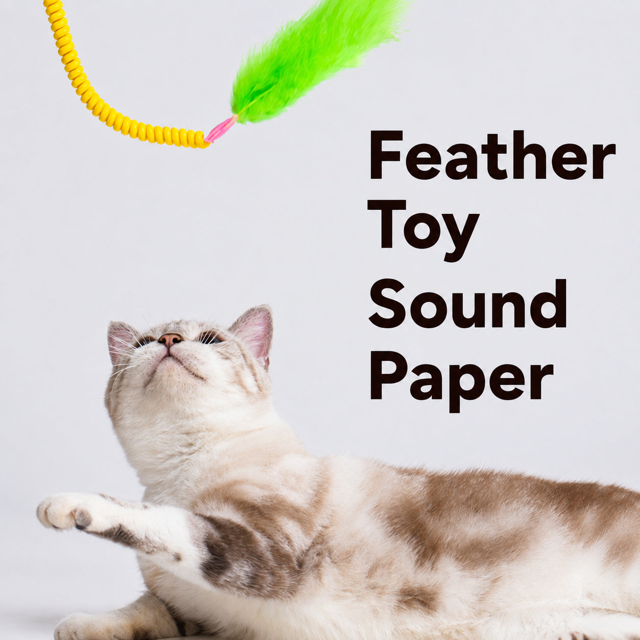 Ocean Park Cat Toy Collection