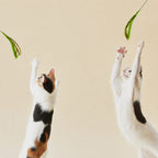 Long-stick Cat Teaser Wand