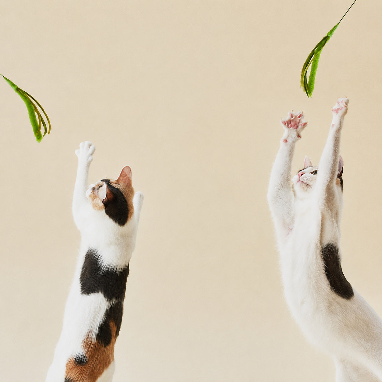 Long-stick Cat Teaser Wand