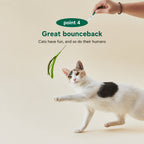 Long-stick Cat Teaser Wand