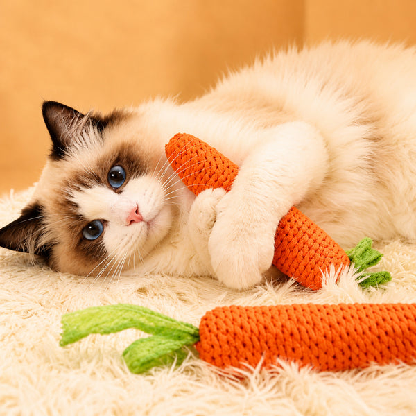 Handwoven Carrot Chew Toy