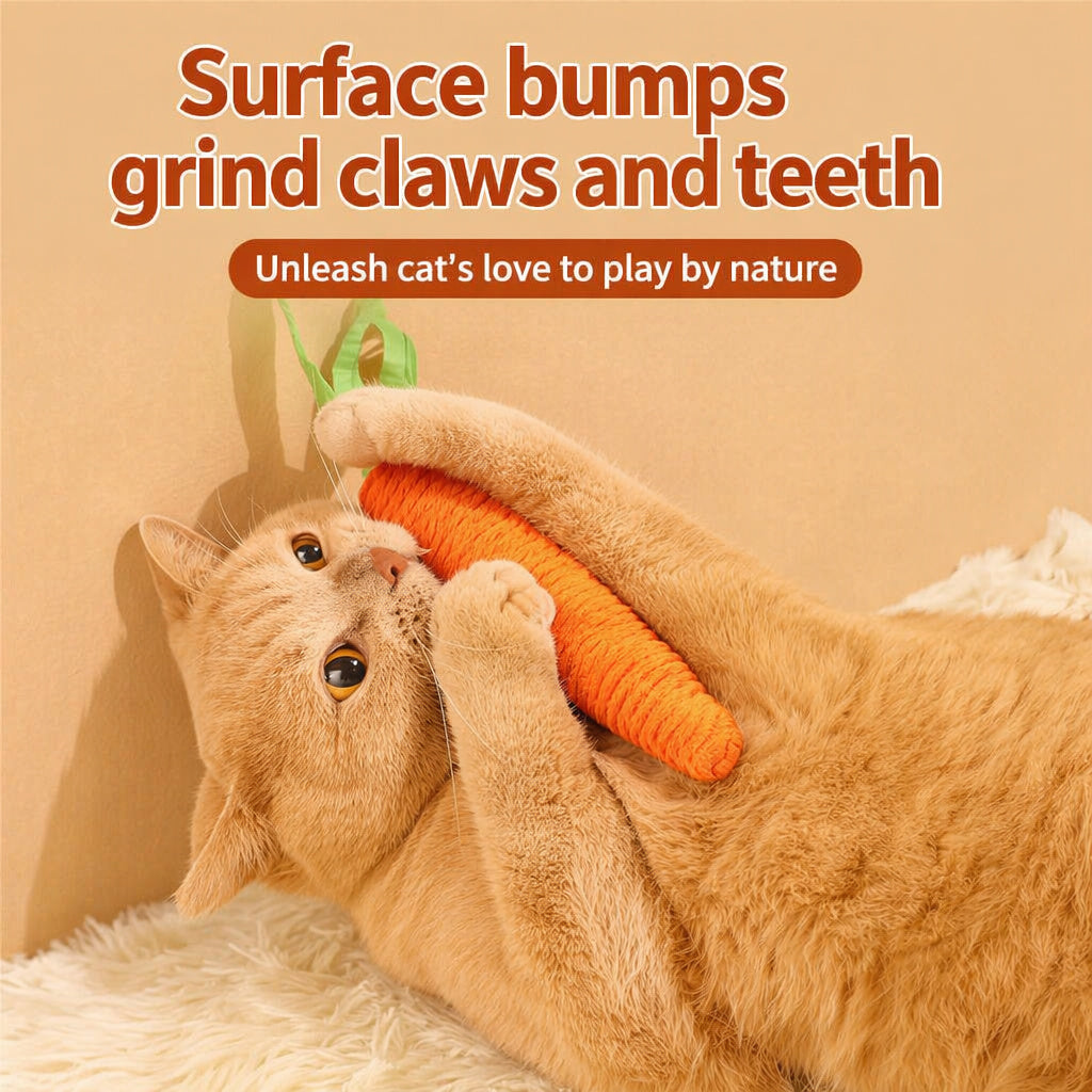 Handwoven Carrot Chew Toy