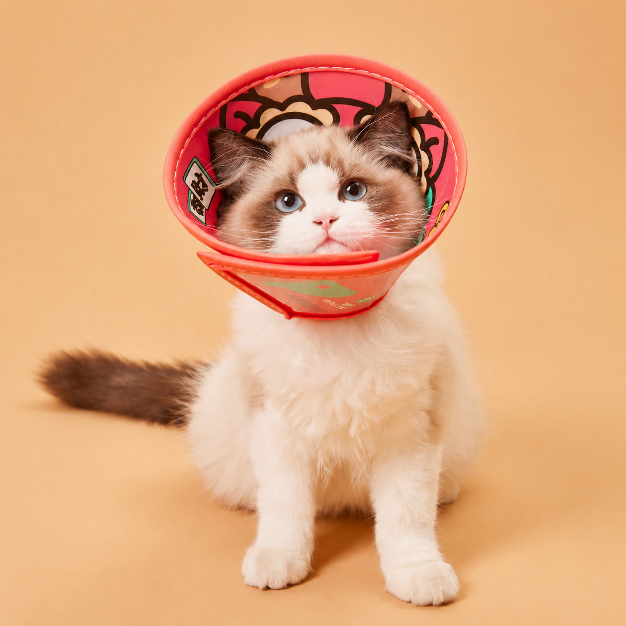Flexible Recovery Cone Collar
