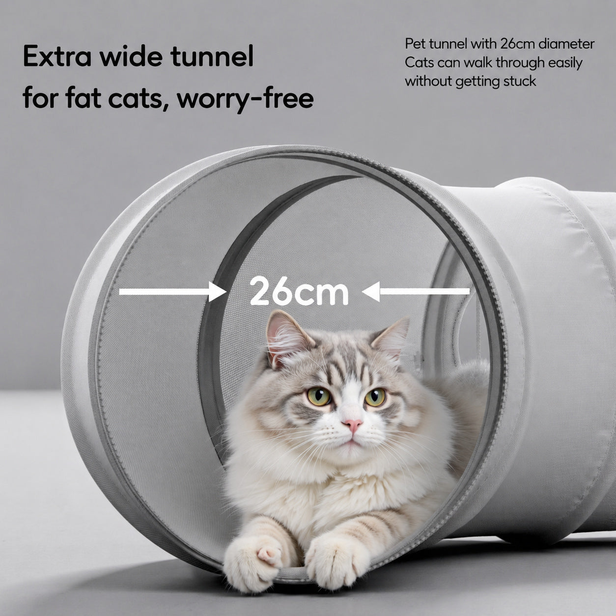 Cool Ring Cat Tunnel Bed