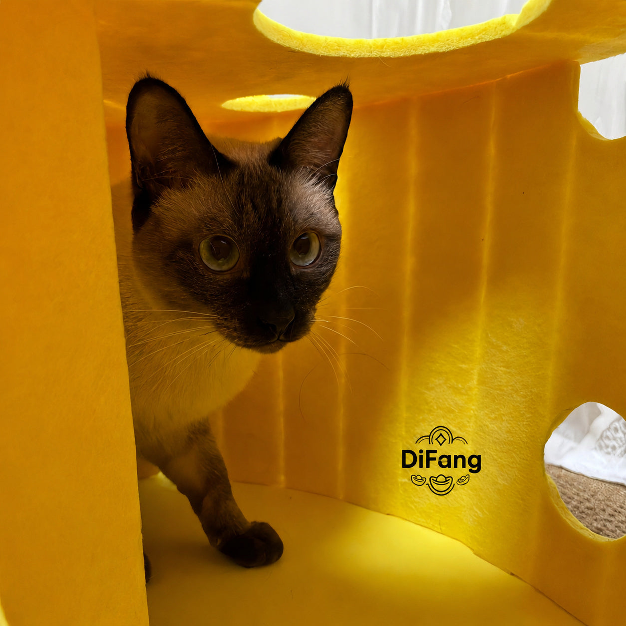 Felt Cat Tunnel Hideout