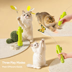 Cactus Smart Cat Teaser