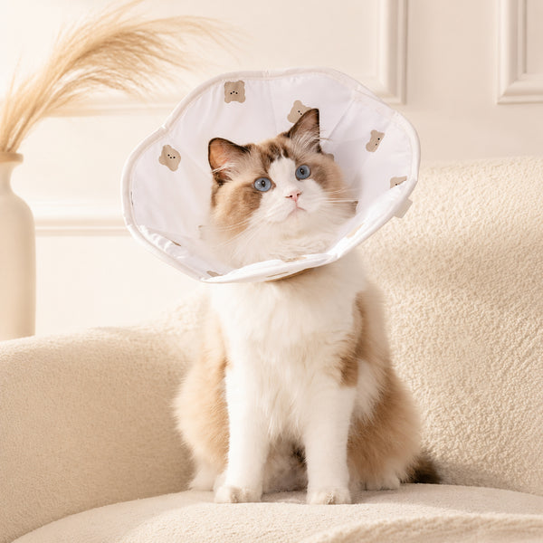 Waterproof Soft Pet Neck Cone
