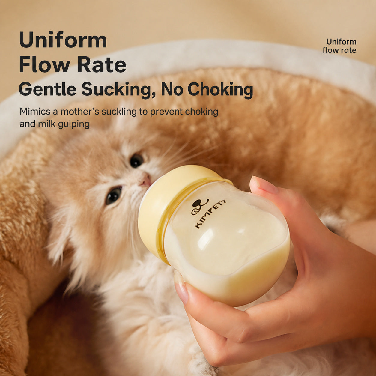 Glass Pet Feeding Bottle