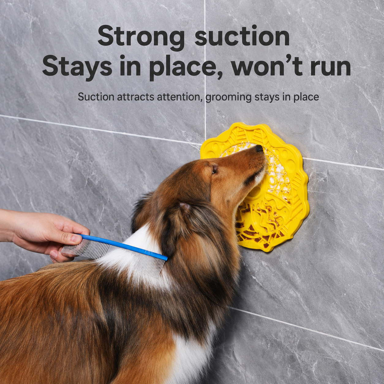 Lion Lick Enrichment Pad