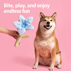Blooming Bouquet Squeaky Plush