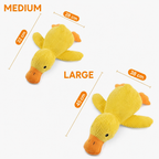 FCS260528002_main_06