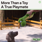 Long-Neck Croc Tug Toy