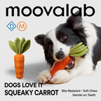 Squeaky Carrot Chew Toy