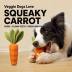 Squeaky Carrot Chew Toy