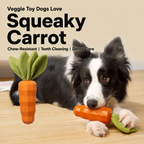 Squeaky Carrot Chew Toy
