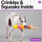 Color-Pop Ice Cream Squeak Stick