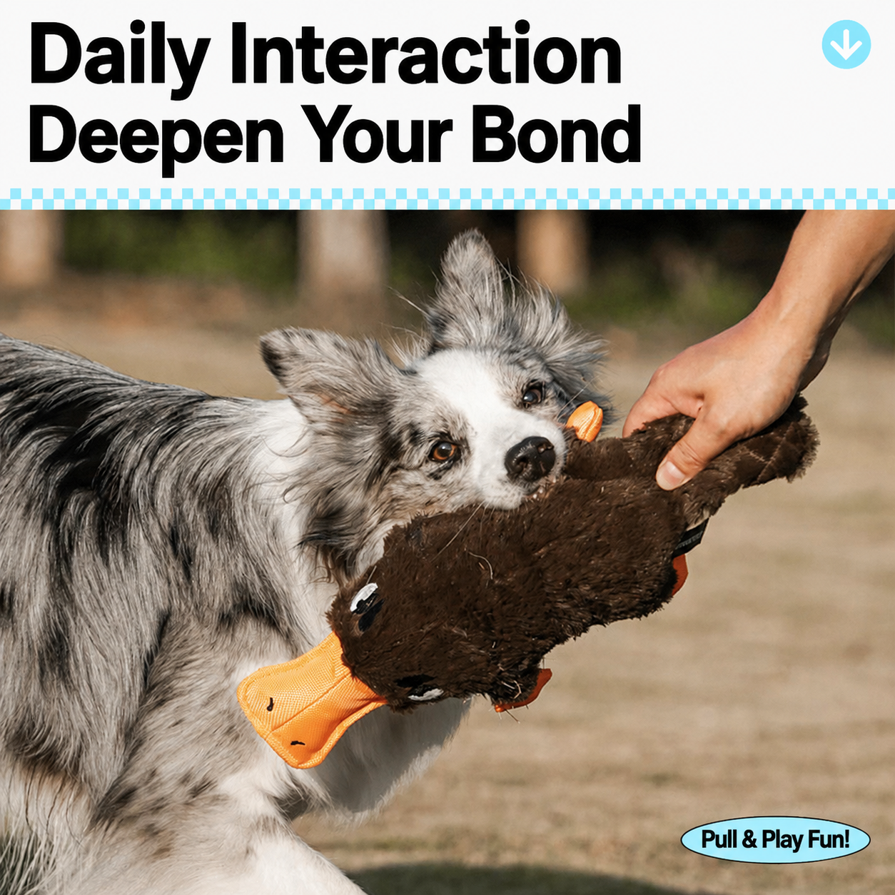 Squeaky Platypus Tug Toy