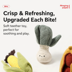 vegetable farm squeaky toy set