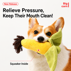 vegetable farm squeaky toy set
