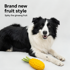 Crinkly Carrot Dog Chew
