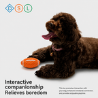 Natural Rubber Squeaky Football