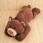 Squeaky Bear Chew Toy