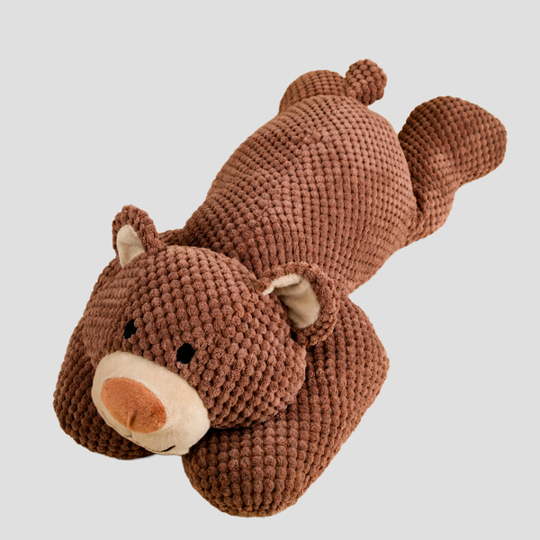 Squeaky Bear Chew Toy