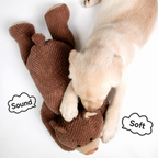 Squeaky Bear Chew Toy