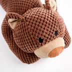 Squeaky Bear Chew Toy