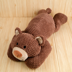 Squeaky Bear Chew Toy
