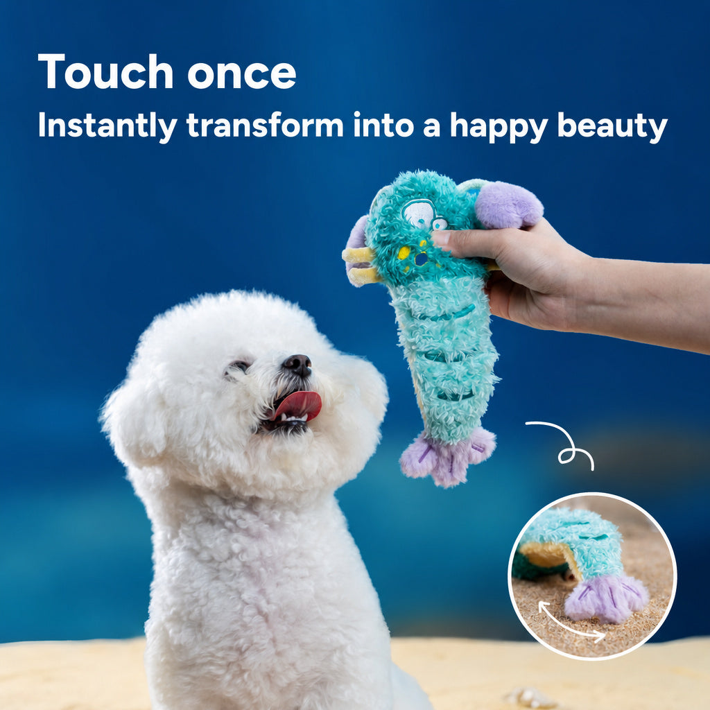 Squeaky Plush Shell Dog Toy