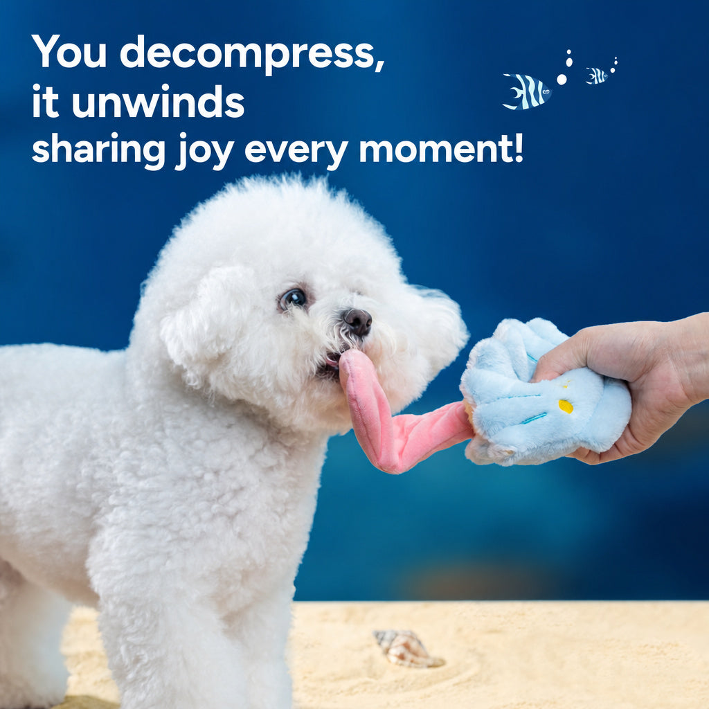 Squeaky Plush Shell Dog Toy