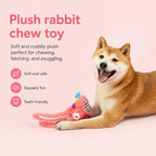 Squeaky Bunny Fox Plush