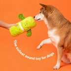 Bonsai Squeak Chase Toy