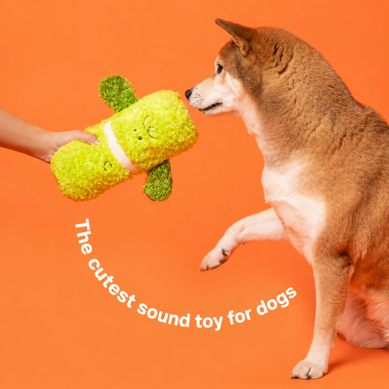 Bonsai Squeak Chase Toy