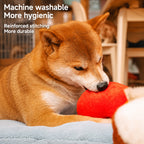 Squeaky Corgi Booty Plush