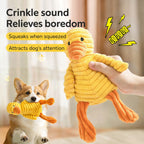 Corduroy Squeak Plush Toy
