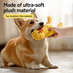 Corduroy Squeak Plush Toy
