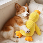 Corduroy Squeaky Duck Plush