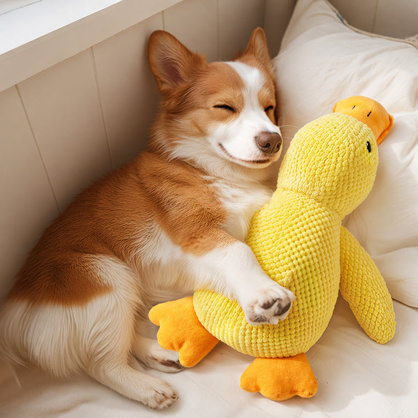 Corduroy Squeaky Duck Plush