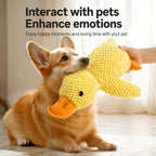 Corduroy Squeaky Duck Plush