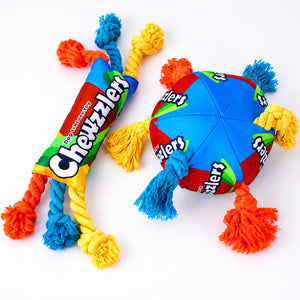 Squeaky Rope Fetch Toy