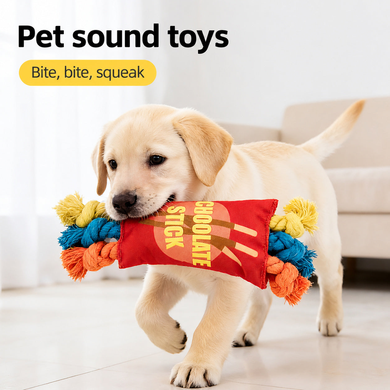 Squeaky Rope Fetch Toy