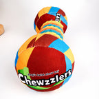 Squeaky Rope Fetch Toy