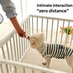 Modular Open-view Dog Playpen