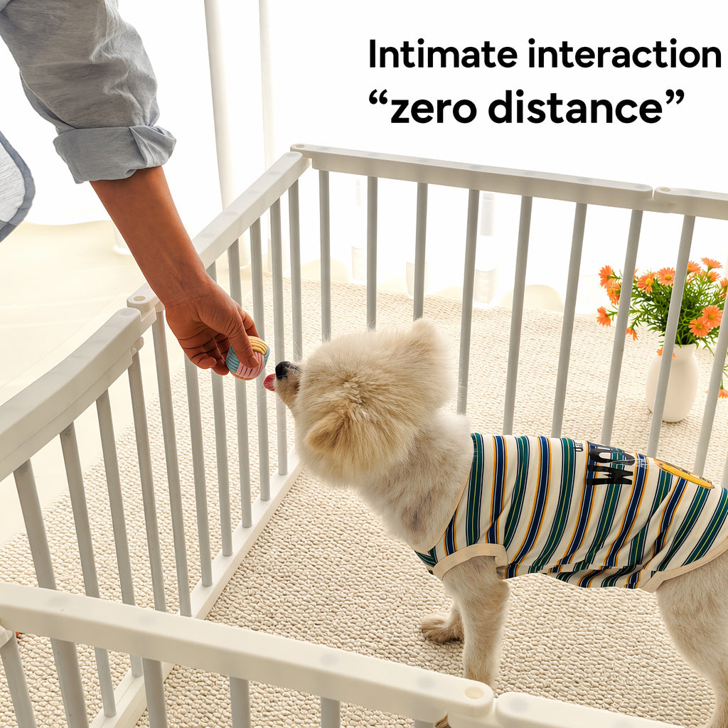 Modular Open-view Dog Playpen